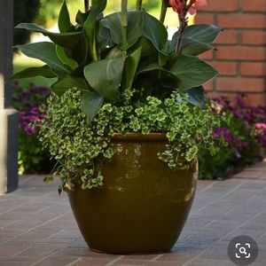 Meet your Posher, Bordeleau